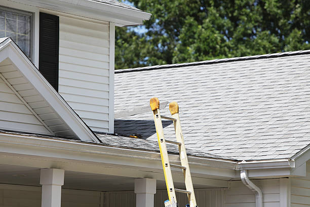 Best Hoarding Cleanup  in Highland, AR